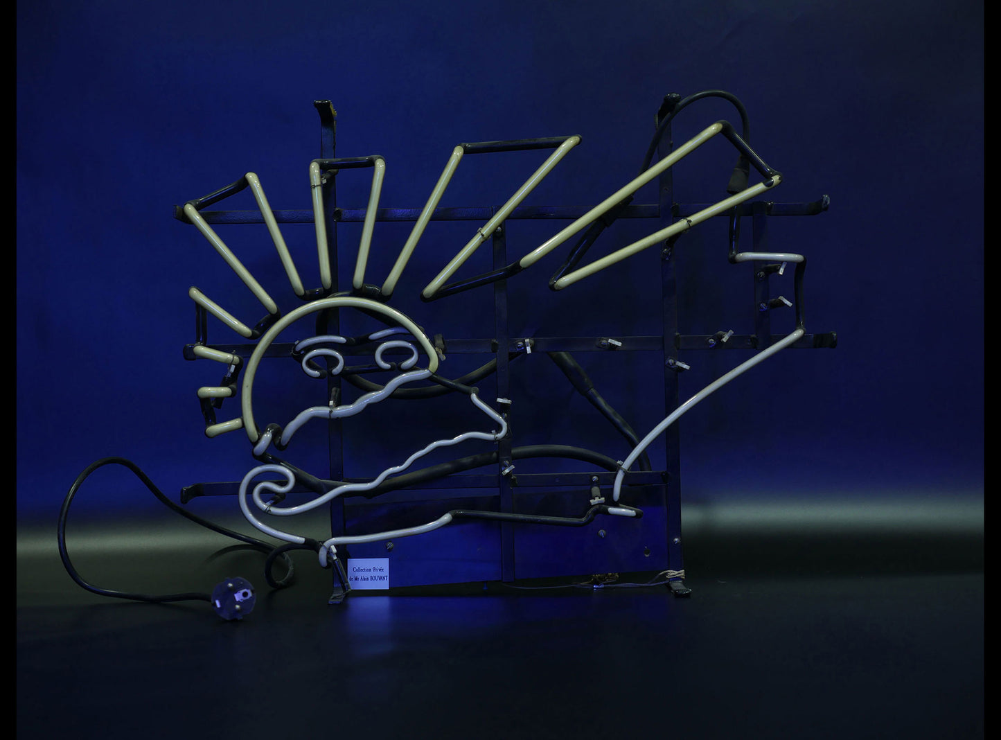 LOCATION ENSEIGNE NEON / SOLEIL