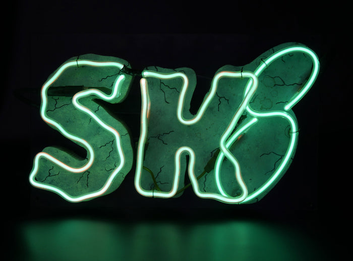 LOCATION ENSEIGNE NEON / SK8