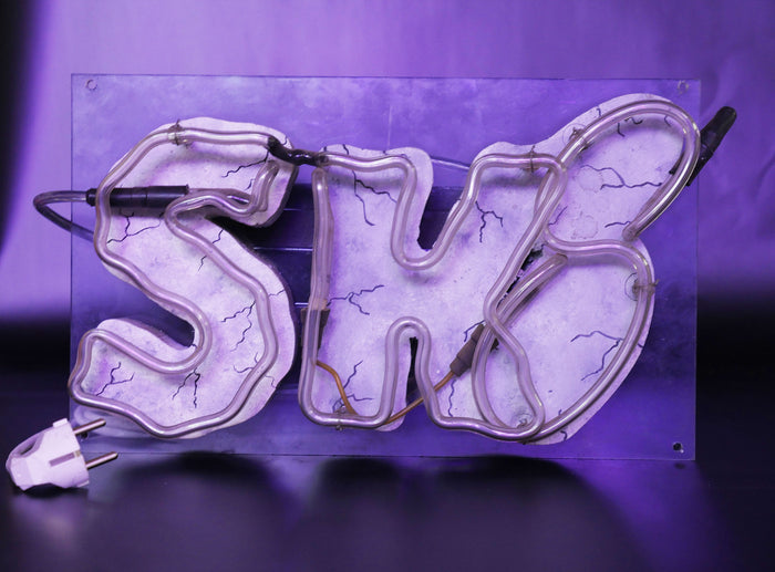 LOCATION ENSEIGNE NEON / SK8